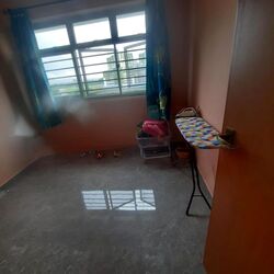 Blk 613A Tampines Greenview (Tampines), HDB 3 Rooms #496927371